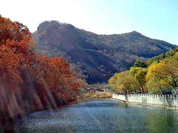 新澳天天开奖资料大全旅游团，异世重生小说